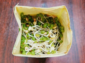 Loại rau trồng không cần đất, lớn siêu nhanh không cần thuốc, 2 ngày là được ăn, giàu canxi giúp trẻ cao lớn