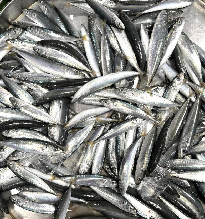 Cá nục có giá rẻ, có thể tìm thấy ở nhiều chợ Việt.