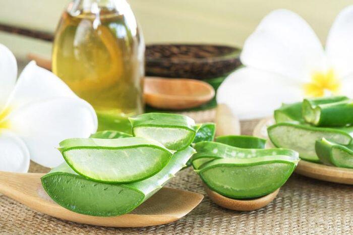 Từ lâu, công dụng làm đẹp của nha đam đã được kiểm chứng.