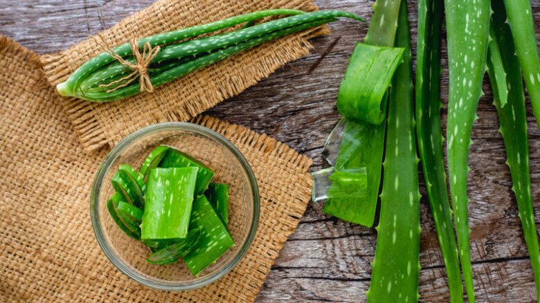 Loại cây tưởng là amp;#34;thần dượcamp;#34; làm đẹp lại có thể phá nát khuôn mặt nếu phạm phải những điều này? - 3