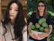 Đẹp - "Chìa khóa" để có làn da luôn căng bóng, mịn màng từ 20 loại quả quen thuộc, đến Tăng Thanh Hà, Phạm Băng Băng cũng mê