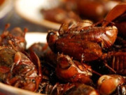 Lifestyle - “Đặc sản từ lòng đất” chỉ có vào mùa mưa nhìn thôi đã khiếp sợ nay khiến thực khách tò mò, giá 300.000 đồng/kg