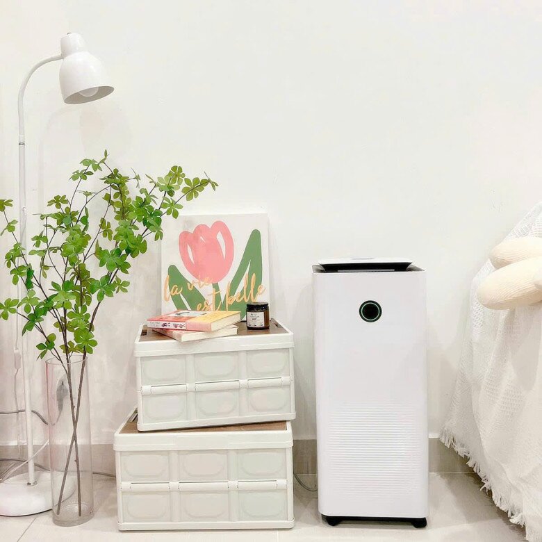 Máy hút ẩm hay máy sưởi là cần thiết và dùng được nhiều năm cho mùa lạnh ở các tỉnh khu vực phía Bắc.