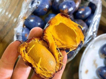 Loại quả xưa bị chê quê mùa rụng đầy gốc không ai nhặt nay lại thành đặc sản bán được giá, gợi lại cả hương vị của tuổi thơ