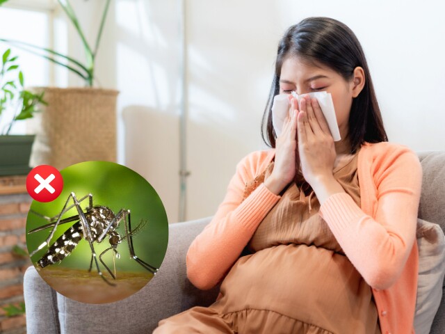 Cách phân biệt sốt xuất huyết, Chikungunya và Zika: Bệnh nào nguy hiểm hơn, bệnh nào lây qua đường tình dục?