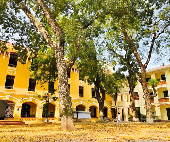 Trường nằm trong khuôn viên rộng hơn 27.000 m2 và được trồng nhiều cây xanh. Đây cũng là nơi thích hợp để tổ chức những buổi sinh hoạt ngoại khóa và rèn luyện thể thao của học sinh.