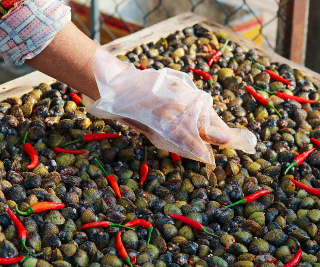 Người Tân Châu có nhiều cách biến tấu lía thành những món ăn giản dị mà đậm đà hương vị quê nhà như: lía luộc sả, lía phơi khô tẩm gia vị, hay lía xào tỏi thơm lừng.