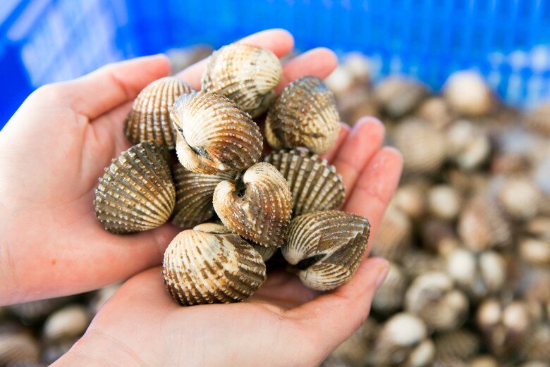Sò huyết tại đây có thể chế biến đủ kiểu: nướng mỡ hành, xào me, rang muối, nấu cháo… nhưng đỉnh cao nhất vẫn là nướng than hồng và chấm muối tiêu chanh.