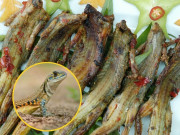 Lifestyle - Đặc sản hiếm có ở miền Trung, nhìn bề ngoài "nổi da gà" nhưng cực thơm ngon, xưa ít ai dám ăn nay thành món hút khách du lịch