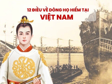 Dòng họ nào chiếm chưa đến 1% dân số, có hai anh em tài giỏi giúp vua Đinh Bộ Lĩnh dẹp loạn 12 sứ quân?