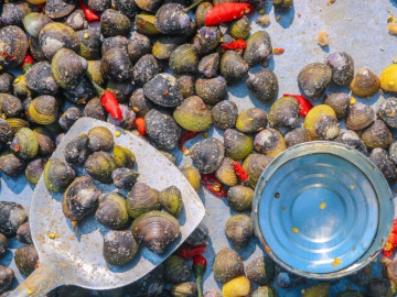 Về An Giang thưởng thức loại đặc sản được ví như "lộc trời cho", hồi xưa ở chợ bán đầy, tên cực lạ 95% người Việt chưa chắc biết