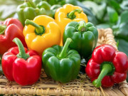Sức khỏe - Ăn ớt chuông mỗi ngày thu về 8 lợi ích, nhưng ăn sống hay ăn chín tốt hơn?