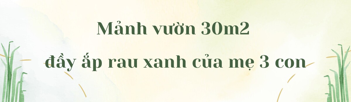 Bà mẹ 3 con biến sân thượng 30m² thành “nông trại mini” giữa Sài Gòn, tự trồng rau sạch quanh năm không cần ra chợ - 2