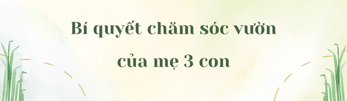 Bà mẹ 3 con biến sân thượng 30m² thành “nông trại mini” giữa Sài Gòn, tự trồng rau sạch quanh năm không cần ra chợ - 8