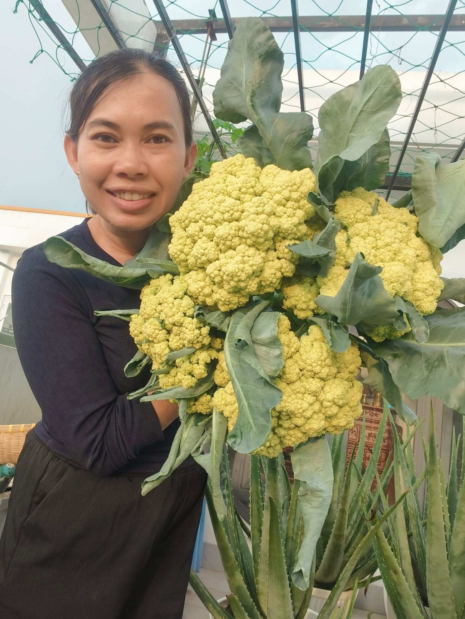 Bà mẹ 3 con biến sân thượng 30m² thành “nông trại mini” giữa Sài Gòn, tự trồng rau sạch quanh năm không cần ra chợ - 1