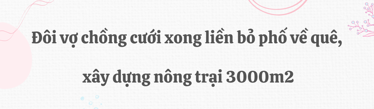 Đôi vợ chồng bỏ phố về quê xây nông trại 3000m2 trồng rau nuôi yến chỉ 30 triệu cải tạo đất và kết quả đẹp như tranh - 1