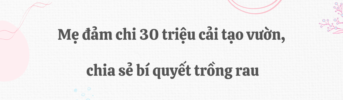 Đôi vợ chồng bỏ phố về quê xây nông trại 3000m2 trồng rau nuôi yến chỉ 30 triệu cải tạo đất và kết quả đẹp như tranh - 7