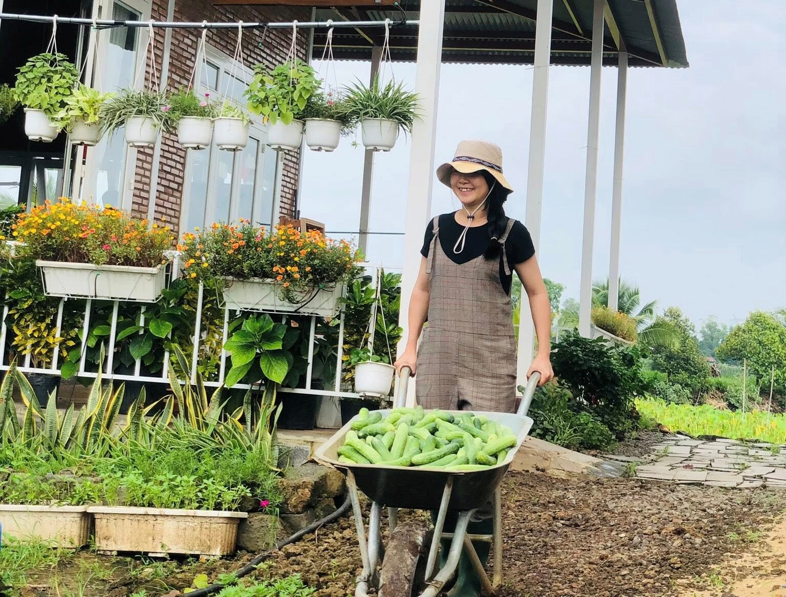 Đôi vợ chồng bỏ phố về quê xây nông trại 3000m2 trồng rau nuôi yến chỉ 30 triệu cải tạo đất và kết quả đẹp như tranh - 17
