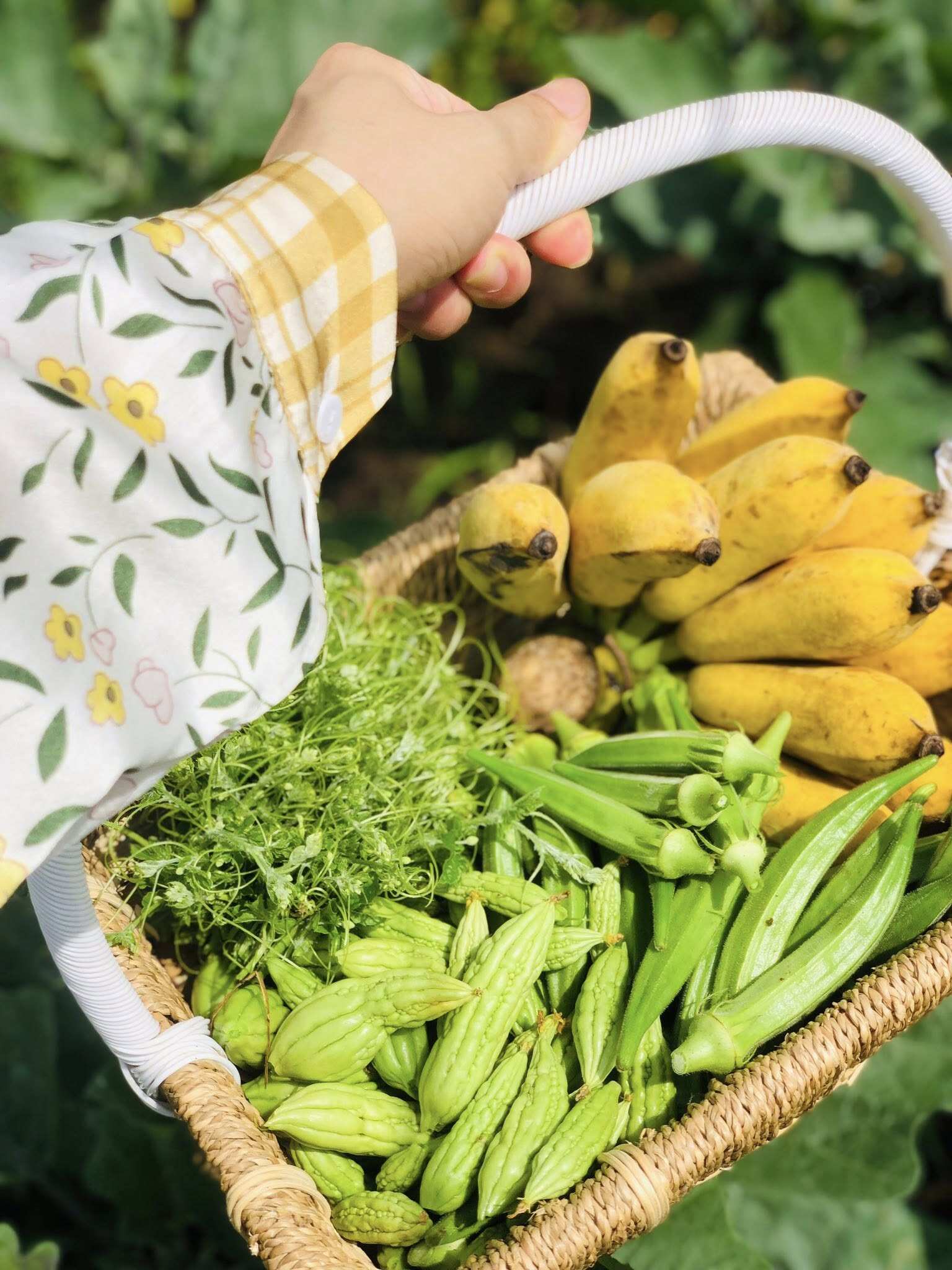 Đôi vợ chồng bỏ phố về quê xây nông trại 3000m2 trồng rau nuôi yến chỉ 30 triệu cải tạo đất và kết quả đẹp như tranh - 12
