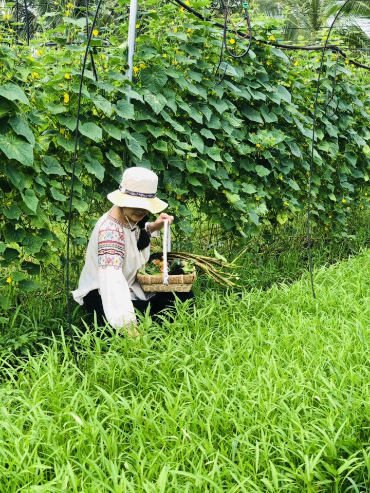 Đôi vợ chồng bỏ phố về quê xây nông trại 3000m2 trồng rau nuôi yến chỉ 30 triệu cải tạo đất và kết quả đẹp như tranh - 9