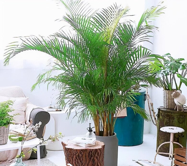 Đừng đặt những vật này dưới điều hòa, người giàu đều biết, trừ khi bạn muốn sống khổ! - 2