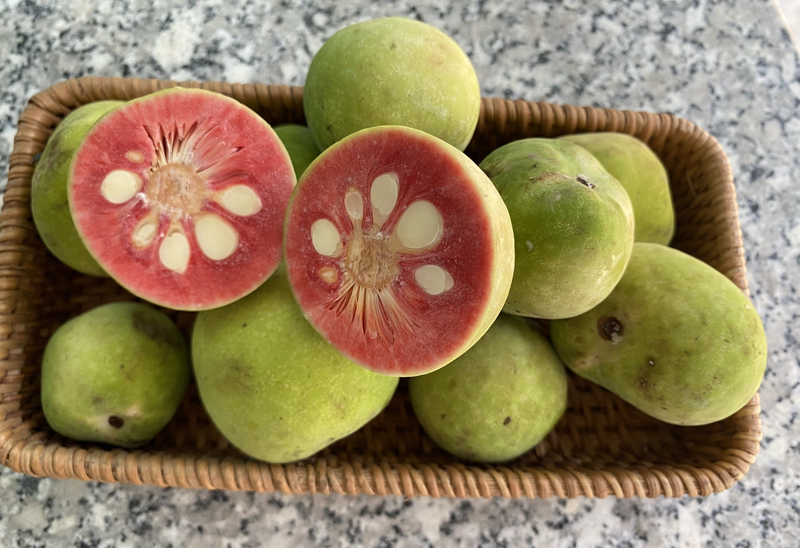 “Lộc trời” nấu canh chua ngon tuyệt đỉnh, giúp hút sạch mỡ máu, trồng một cây trước nhà vừa lấy bóng mát vừa rước lộc - 4