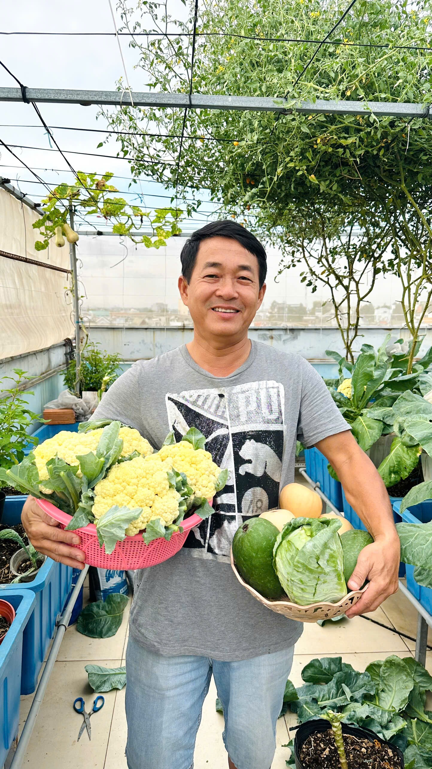 Mẹ 3 con Biên Hòa trồng 2 vườn rau xanh mướt trên ban công và sân ...