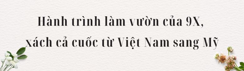 Mẹ đảm mát tay làm vườn ở mỹ phải xách cả cuốc từ việt nam sang rau nào cũng xanh tươi tốt - 8
