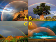 Yêu - Trắc nghiệm: Tình yêu cuối năm của bạn sẽ ngọt ngào hay bão giông? Chọn một dải cầu vồng để biết!