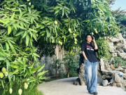 Nhà đẹp - Cây ăn quả hút tiền cả Tăng Thanh Hà và Mỹ Tâm đều trồng trong biệt thự triệu đô, mỗi mùa thu hoạch cả trăm trái