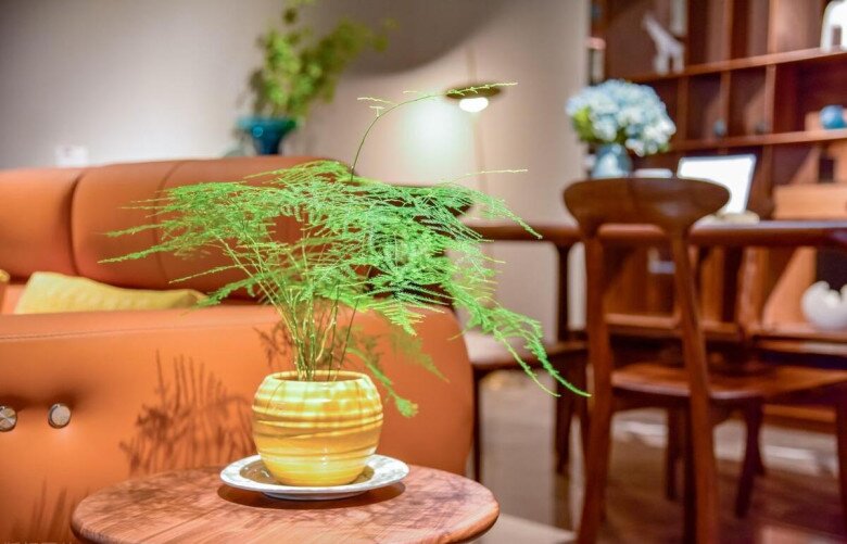 Nhà có 5 loại hoa này, con cái luôn có quý nhân giúp đỡ, càng trồng gia đình càng vượng phát - 7