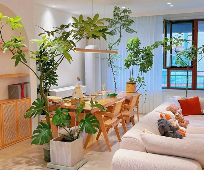 Nhà có 5 loại hoa này, con cái luôn có quý nhân giúp đỡ, càng trồng gia đình càng vượng phát - 1