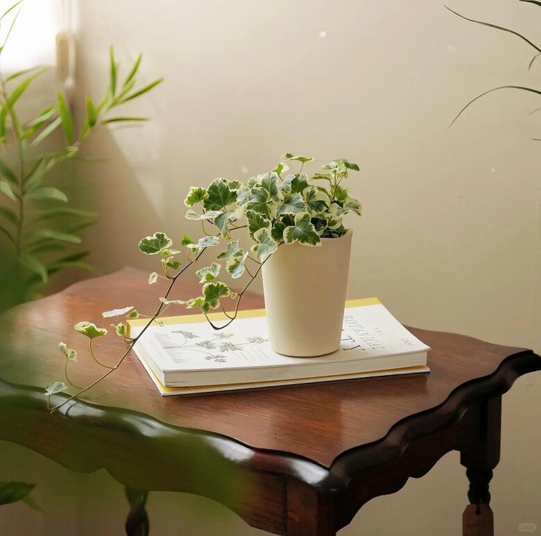 Nhà có 5 loại hoa này, con cái luôn có quý nhân giúp đỡ, càng trồng gia đình càng vượng phát - 8