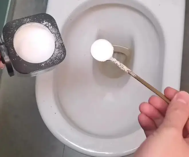 Loại cây mang âm khí và xui xẻo bạn cần biết để tránh rước họa