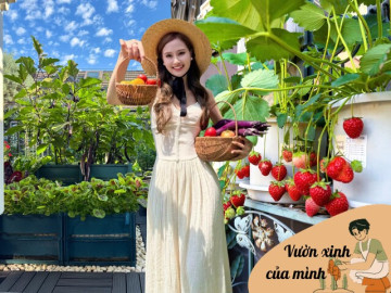 Khu vườn trên ban công 20m² của mẹ Việt ở Thượng Hải: Xuân hoa nở rực rỡ, hè rau xanh mơn mởn