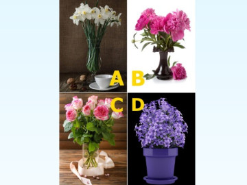 Trắc nghiệm: Chọn bình hoa bạn thích nhất, để xem bạn có sức hút thế nào trong mắt người ấy!