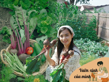 Mẹ đảm mát tay làm vườn ở Mỹ, phải xách cả cuốc từ Việt Nam sang, rau nào cũng xanh tươi tốt