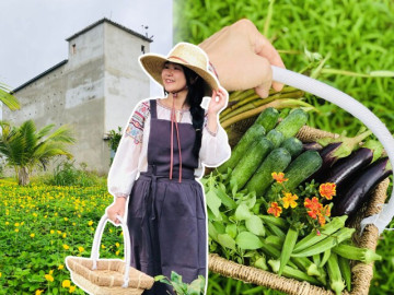 Đôi vợ chồng bỏ phố về quê xây nông trại 3.000m2 trồng rau nuôi yến, chi 30 triệu cải tạo đất và kết quả đẹp như tranh