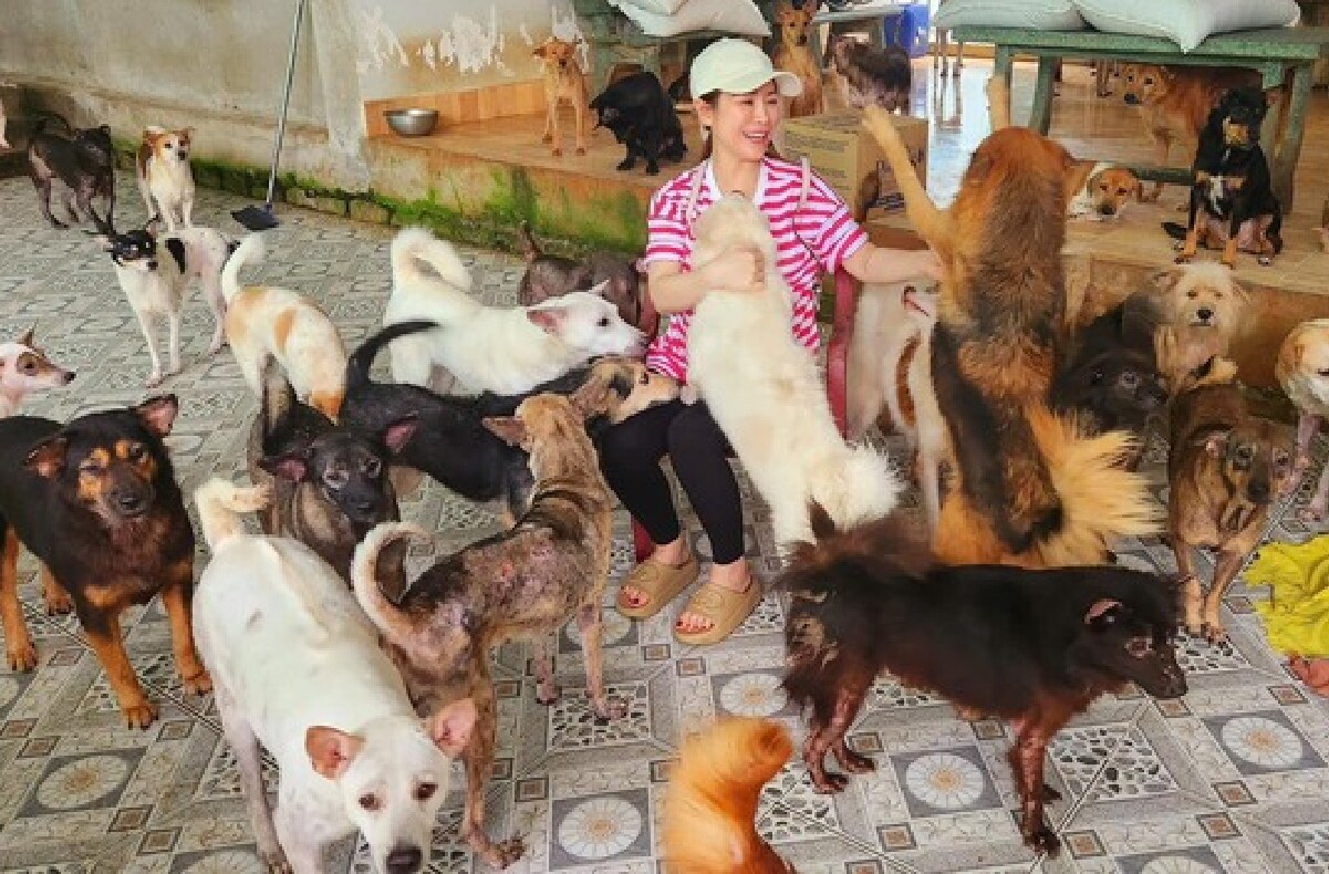 Kiều Linh là mẹ của hơn 400 chú chó, chi hơn 100 triệu đồng/tháng để chăm sóc bầy con.