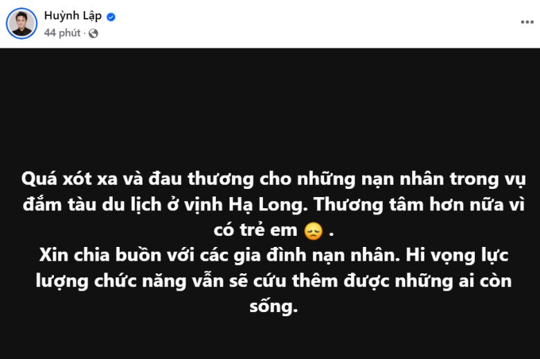 Diễn viên Huỳnh Lập thấy thương tâm vì vụ tai nạn có trẻ em. Anh bày tỏ: Quá xót xa và đau thương cho những nạn nhân trong vụ đắm tàu du lịch ở vịnh Hạ Long. Thương tâm hơn nữa vì có trẻ em. Xin chia buồn với các gia đình nạn nhân. Hi vọng lực lượng chức năng vẫn sẽ cứu thêm được những ai còn sống.