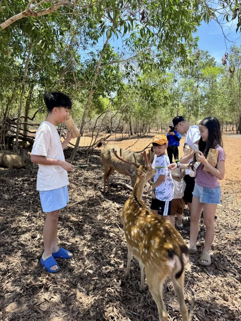 Vợ chồng nữ diễn viên dành nhiều thời gian đưa các con đi chơi đó đây.