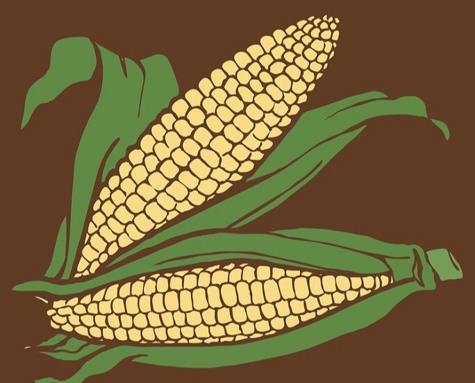 Truyện cổ tích: Nha Rúi và Tầm Dang