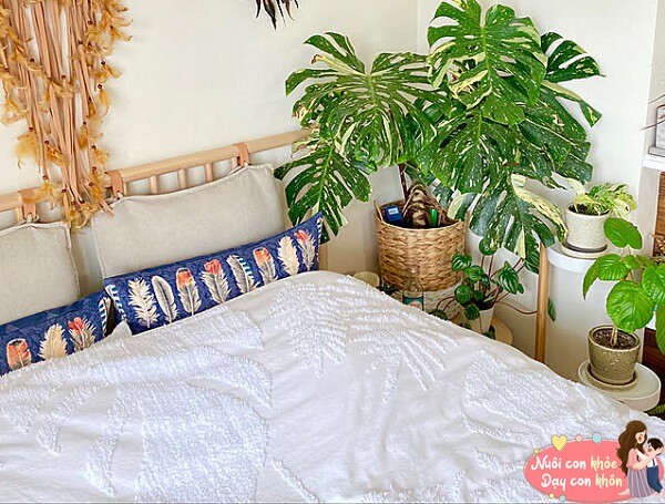 Không nên đặt cây xanh trong phòng ngủ của trẻ.