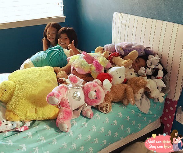 Những món đồ chơi nhồi bông dễ thương chứa nhiều bụi bẩn và vi khuẩn.