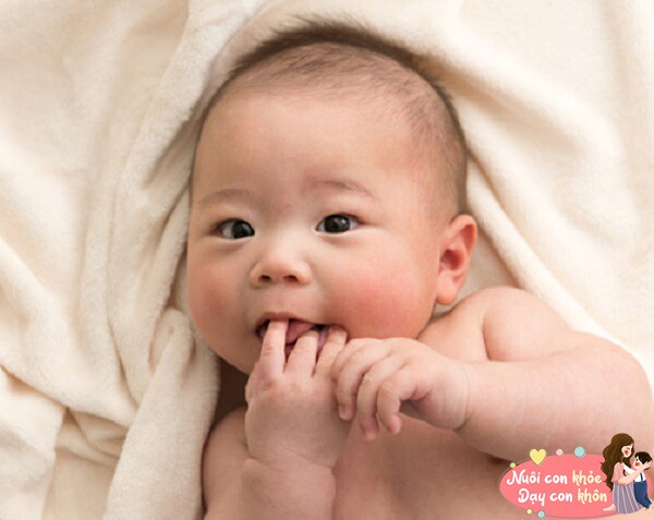Bàn tay là sự mở rộng của nhận thức con người.