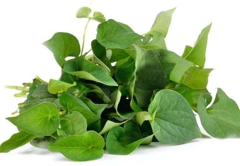 Rau dại này người Nhật ví như amp;#34;rau giải độcamp;#34;, vitamin C gần gấp đôi cam, toàn thân đều là thuốc bổ mùa hè, tốt cho mẹ bầu - 4