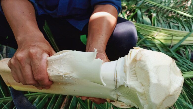 Thứ tưởng bỏ đi nay thành món ăn đặc sản nổi tiếng, được dân thành phố ưa chuộng vì hương vị lạ, 150.000 đồng/kg - 4