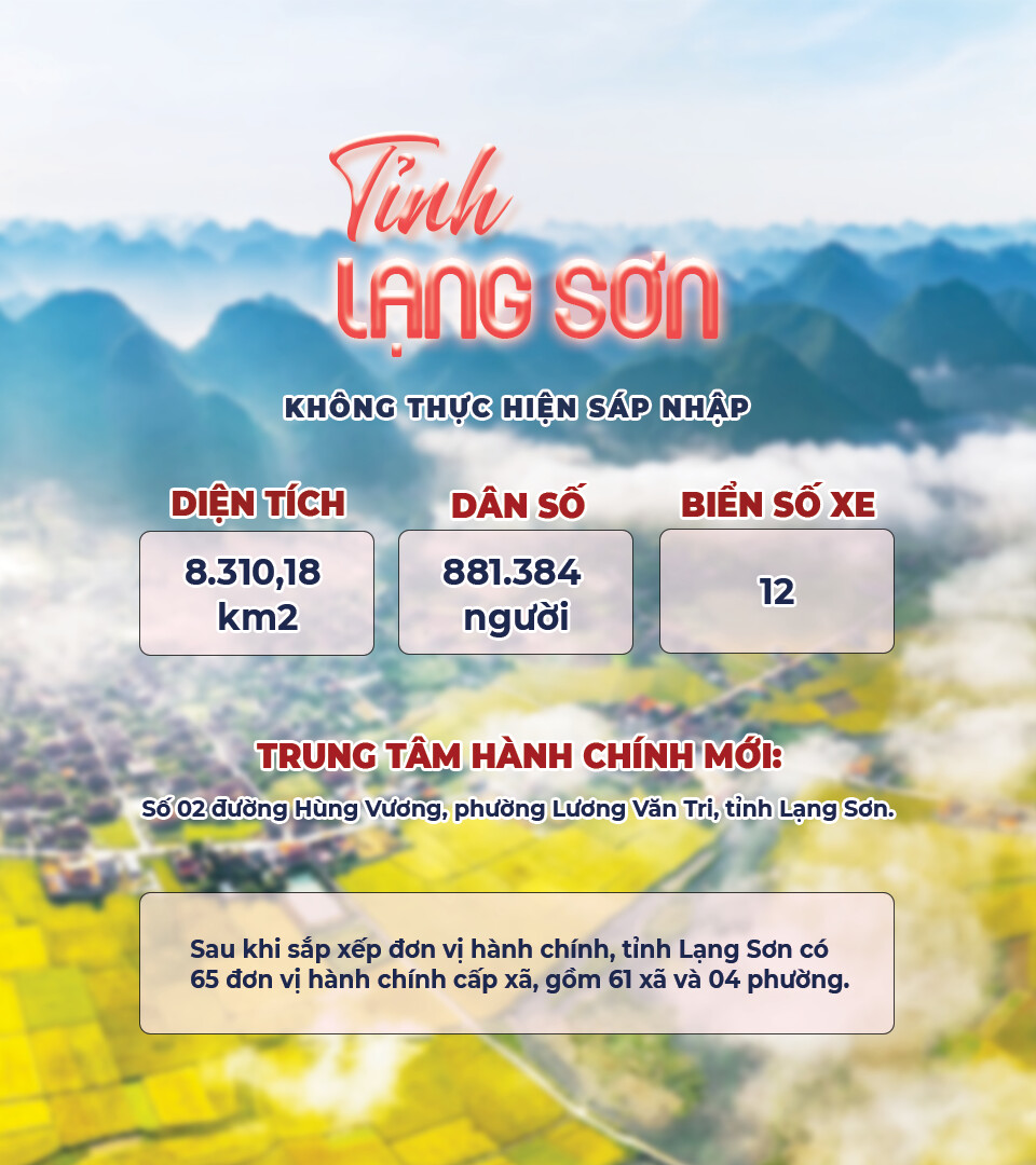 28 tỉnh và 6 thành phố của Việt Nam: Tra cứu chi tiết 3.321 phường, xã, đặc khu từ diện tích, dân số đến biển số xe - 41