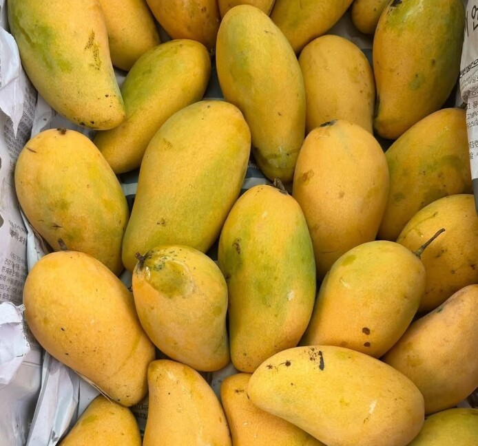 Loại quả xưa chín rụng đầy không ai ngó ngàng, nay thành đặc sản người thành phố ưa chuộng vì có hương vị lạ, 65.000 đồng/kg - 3