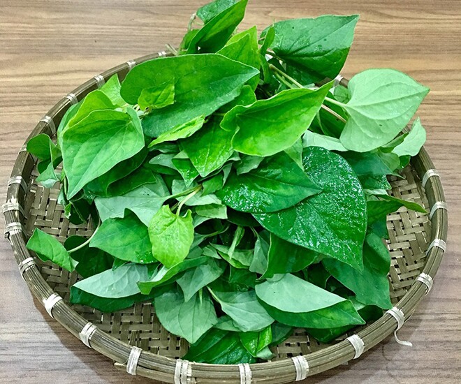 Rau dại này người Nhật ví như amp;#34;rau giải độcamp;#34;, vitamin C gần gấp đôi cam, toàn thân đều là thuốc bổ mùa hè, tốt cho mẹ bầu - 1